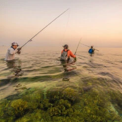 Patagonia River Salt Wading Boots -Rio Store 231 patagonia river salt wading boots feather grey 09