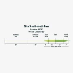 RIO Elite Smallmouth Bass Fly Line -Rio Store FW Elite Smallmouth Bass fly line taper
