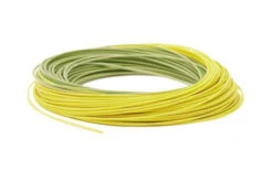 RIO PREMIER GOLD FLY LINE 9 RIO PREMIER GOLD FLY LINE -Rio Store Premier RIOGold Coil Moss Gold 1024x1024 9949e5dd 51d1 4bc7 927b 37e68d8a6fba
