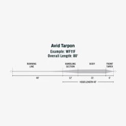 RIO Avid Tarpon 7 RIO Avid Tarpon -Rio Store SW Avid Tarpon fly line taper